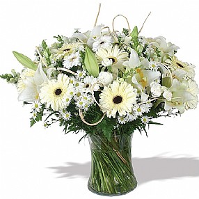 ���� ���