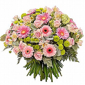 ����� ����� ��� ����