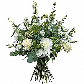 ��� ����