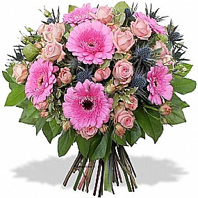 ���� ����