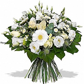 ����� �����