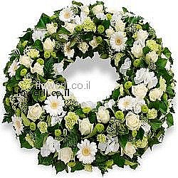 ���� ��� ���