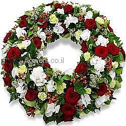 ���� ��� ������