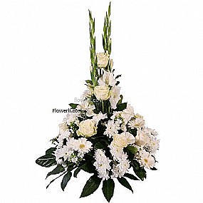 ����� ���� ���