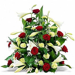 ����� ���� �����