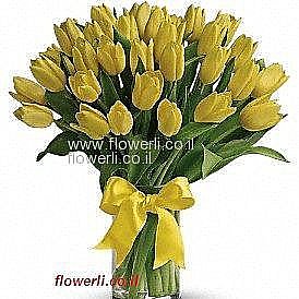 �� ������� ������