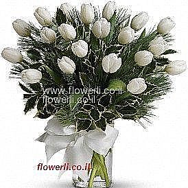 �� ������� ���