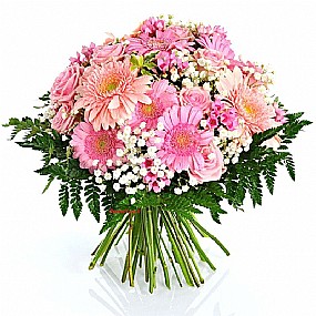 ���� ����