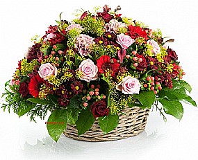 ����� �����