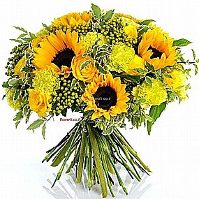 ���� ����