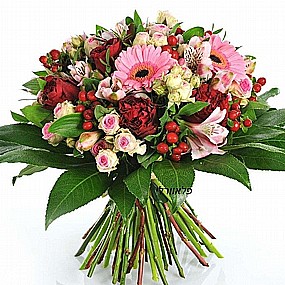 ����� ����