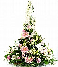 ����� ���� ��� ����