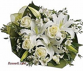 �� ���� ���