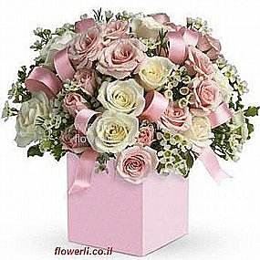 ����� ������ ���