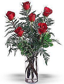 �� ����� ���� ��