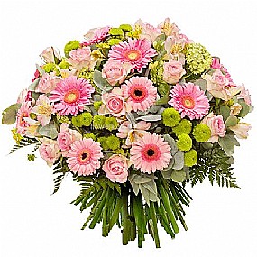 ���� ����