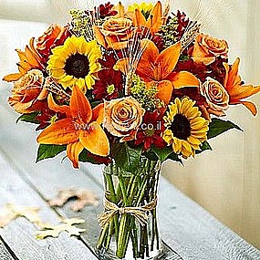 ���� ����