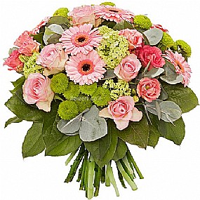 ���� ���� ���