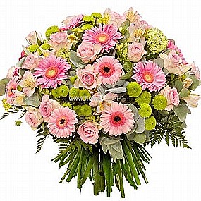 ������ ����� ���� �����