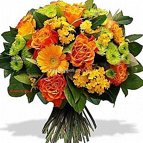 ������ ����� ��� ����� �������