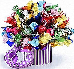 ������ �������� ���� ����� ����� ���� ������