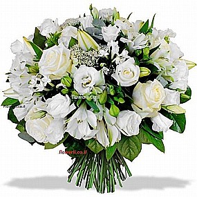 ������ ����� ��� ���