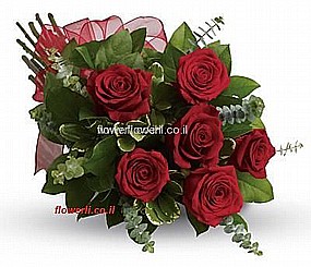 ������ ����� ��� ���