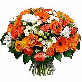 ���� ����� ��� ����� ������ ������ ��� ���