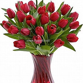 �� ������� ������