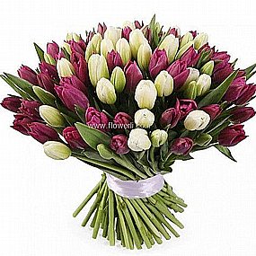 טוליפים ציבעונים בית חולים בלינסון טוליפים ציבעונים בית חולים בלינסון