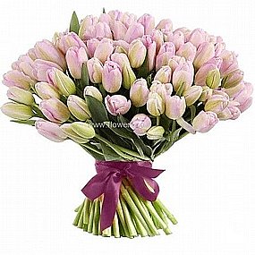 ������� ���� ����