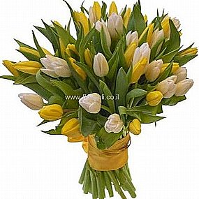 ������� ���� ���