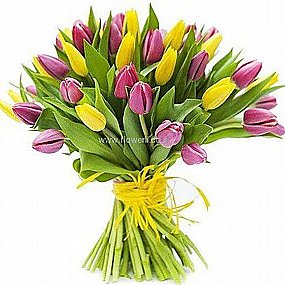 ������� ���� ����